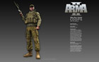 Arma2 wallpaper