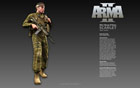 Arma2 wallpaper