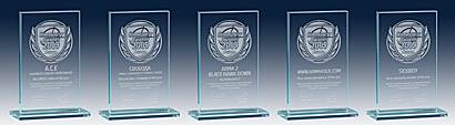 BIS-CommAward09-Trophies-Small
