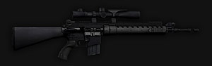 arma2weapons_snip_MK12SPRs